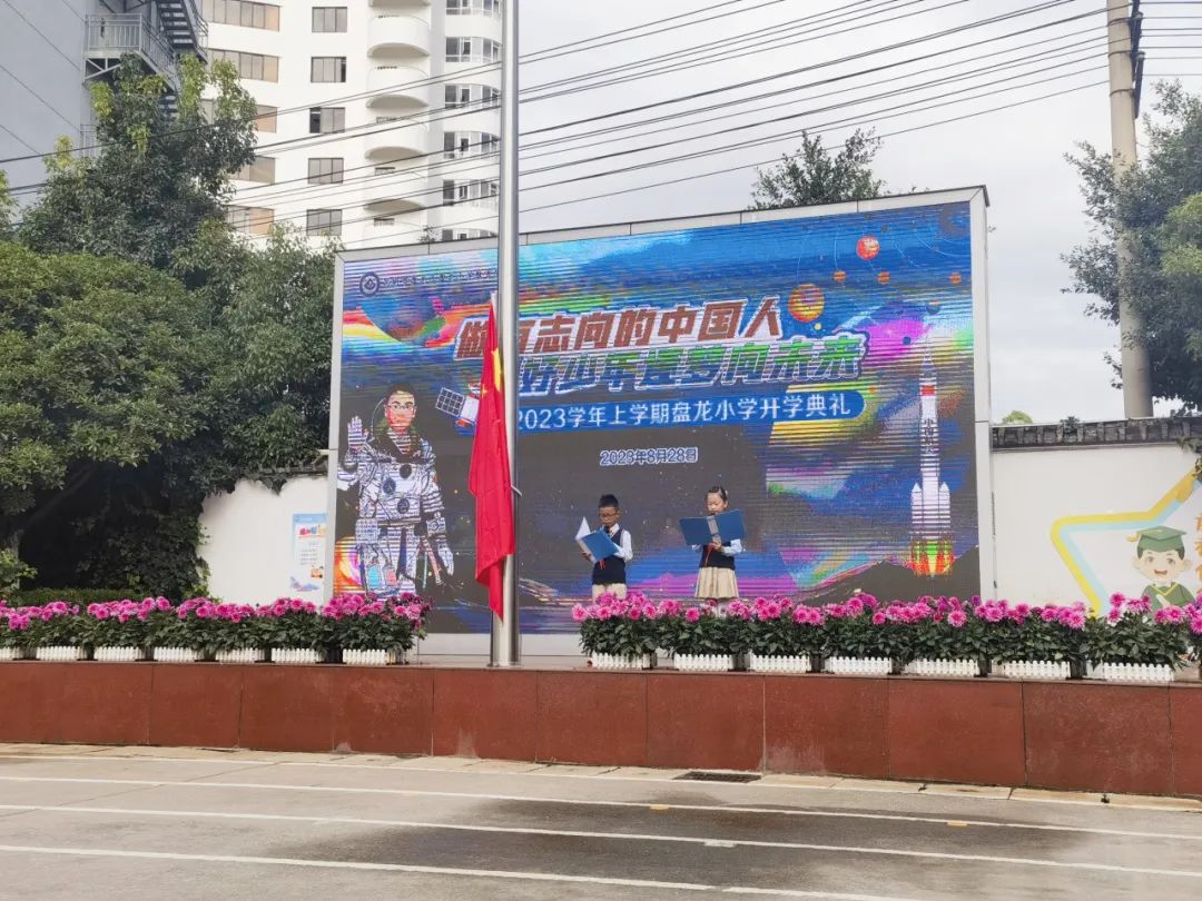 盘龙教育