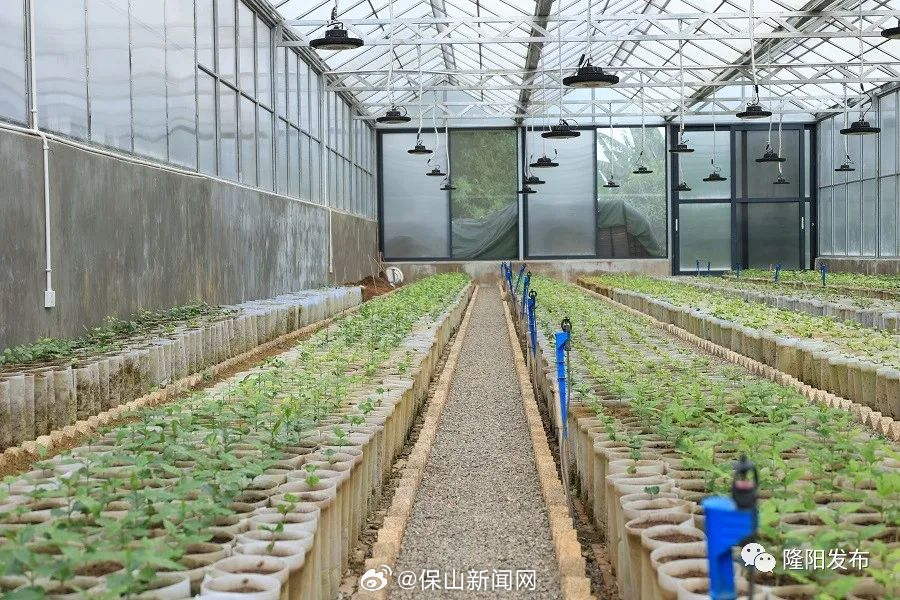 保山新闻网