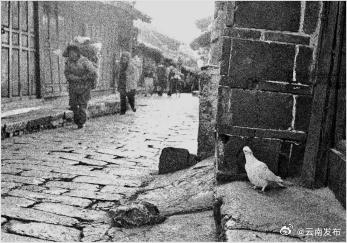 云南发布