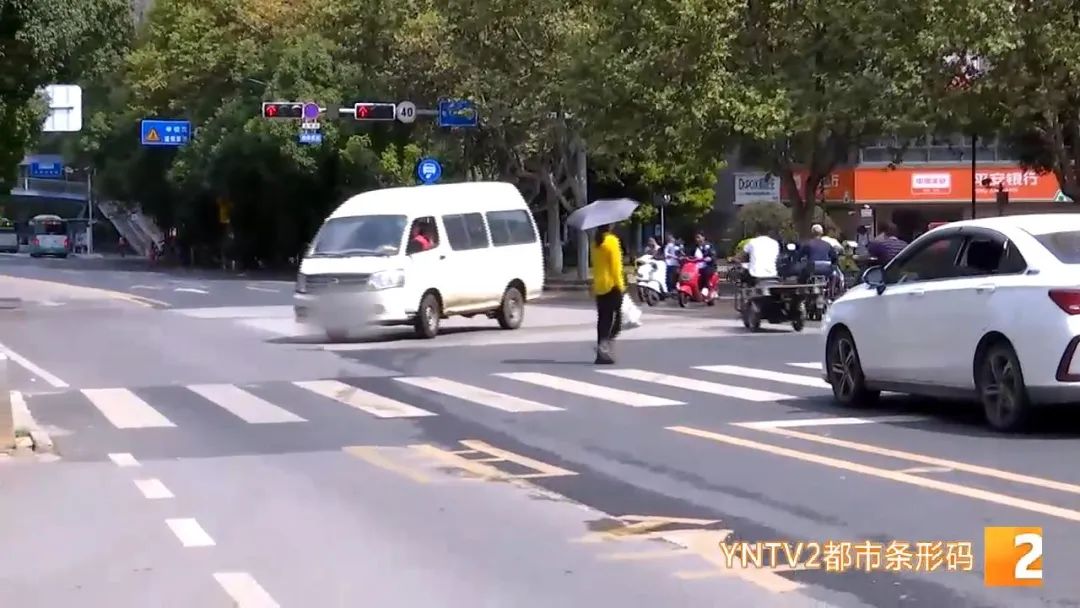 春城晚报