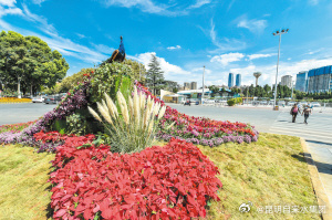 “孔雀大象”迎双节