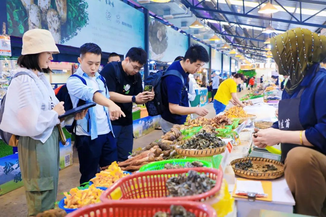 昆明文旅