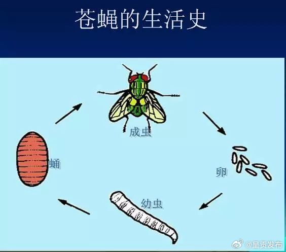 呈贡发布