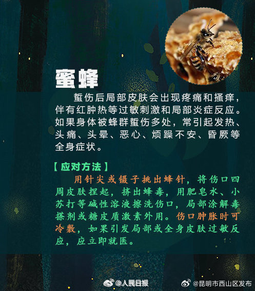 昆明市西山区发布