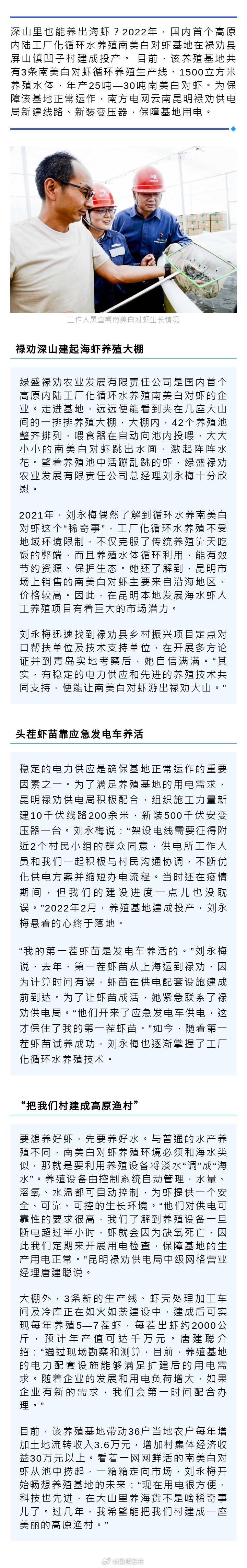 继新疆海鲜之后 昆明深山也养出南美白对虾
