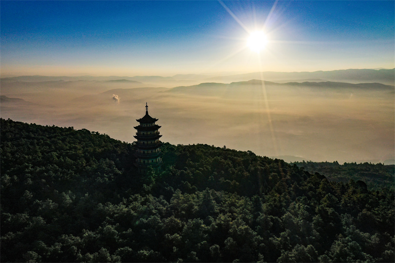 云南省文化和旅游厅