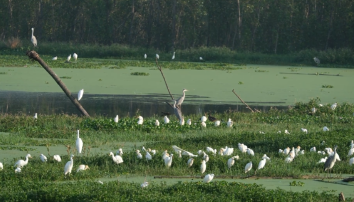 晋宁诗意的栖居地