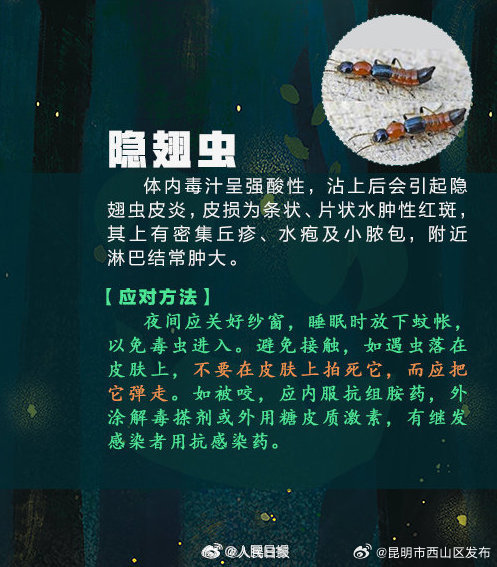昆明市西山区发布
