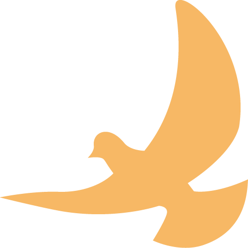 云南大学附属医院