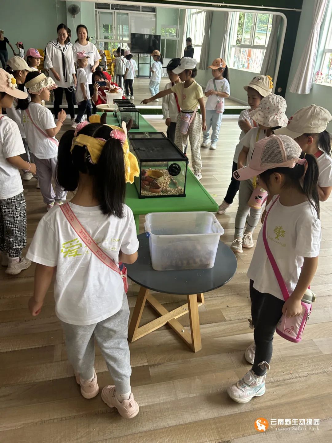 云南野生动物园
