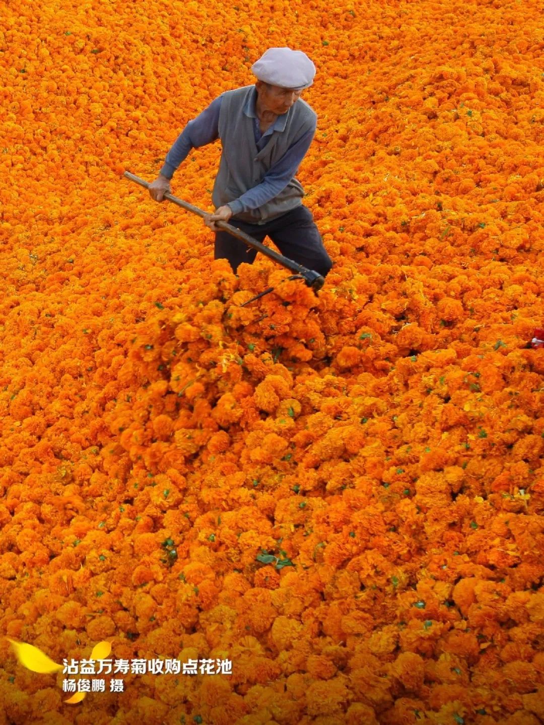 云南省文化和旅游厅