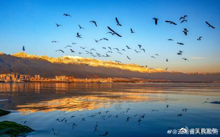 云南国家绿色发展基金投入资金5.8亿元