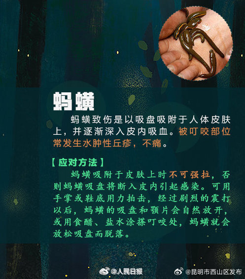 昆明市西山区发布