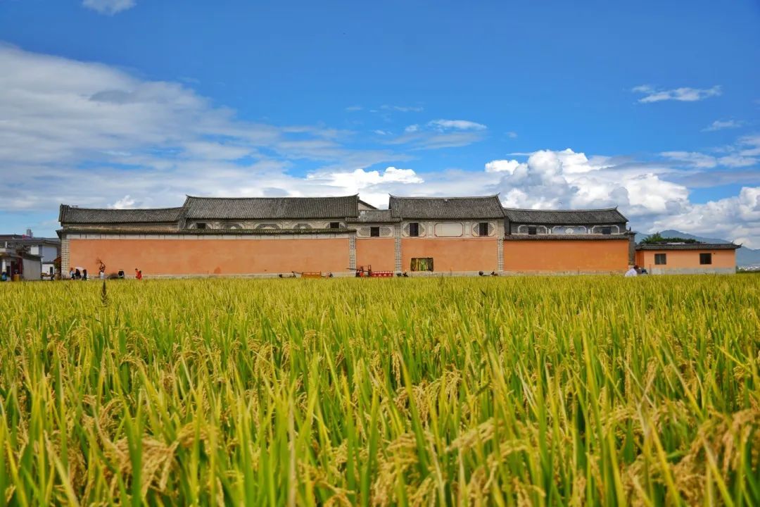 云南省文化和旅游厅