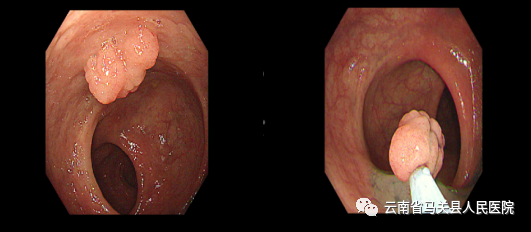 云南省马关县人民医院