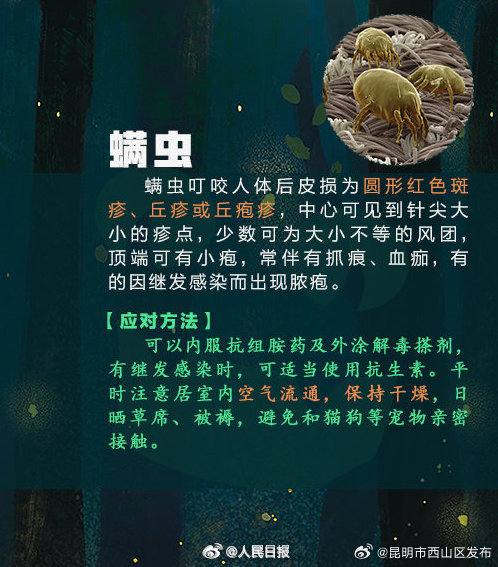 昆明市西山区发布