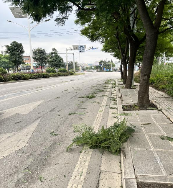 晋宁诗意的栖居地