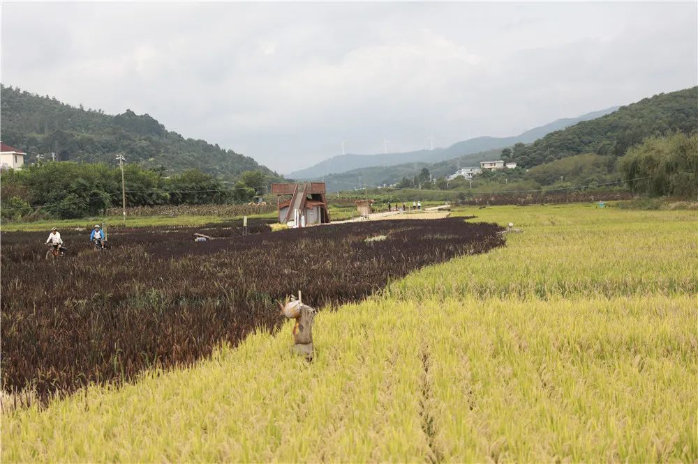 昆明文旅