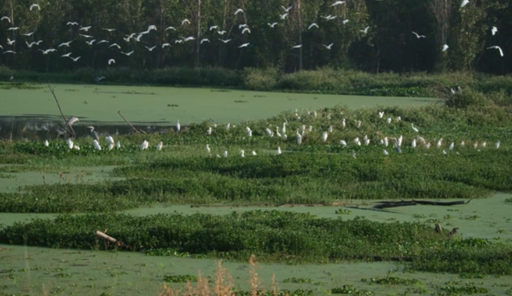 晋宁诗意的栖居地