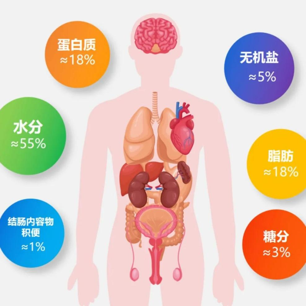云南中医药大学第二附属医院
