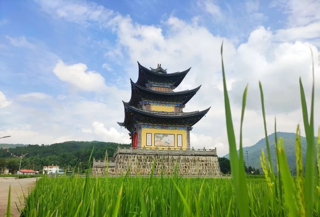 云南省文化和旅游厅