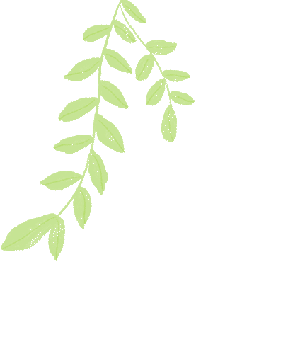 盘龙教育