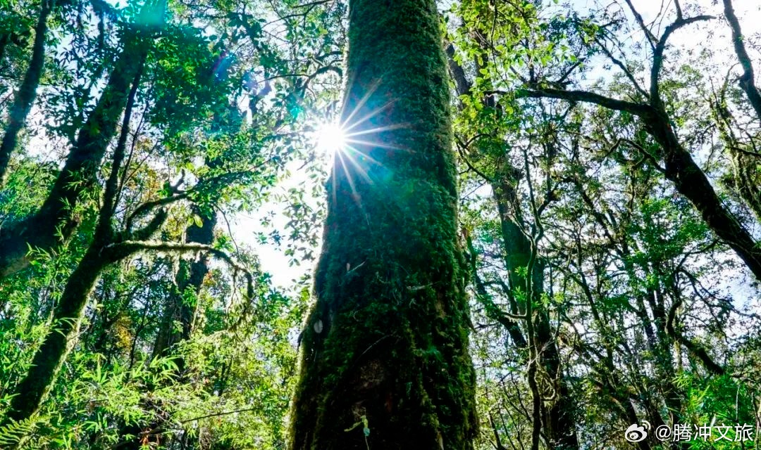 腾冲文旅