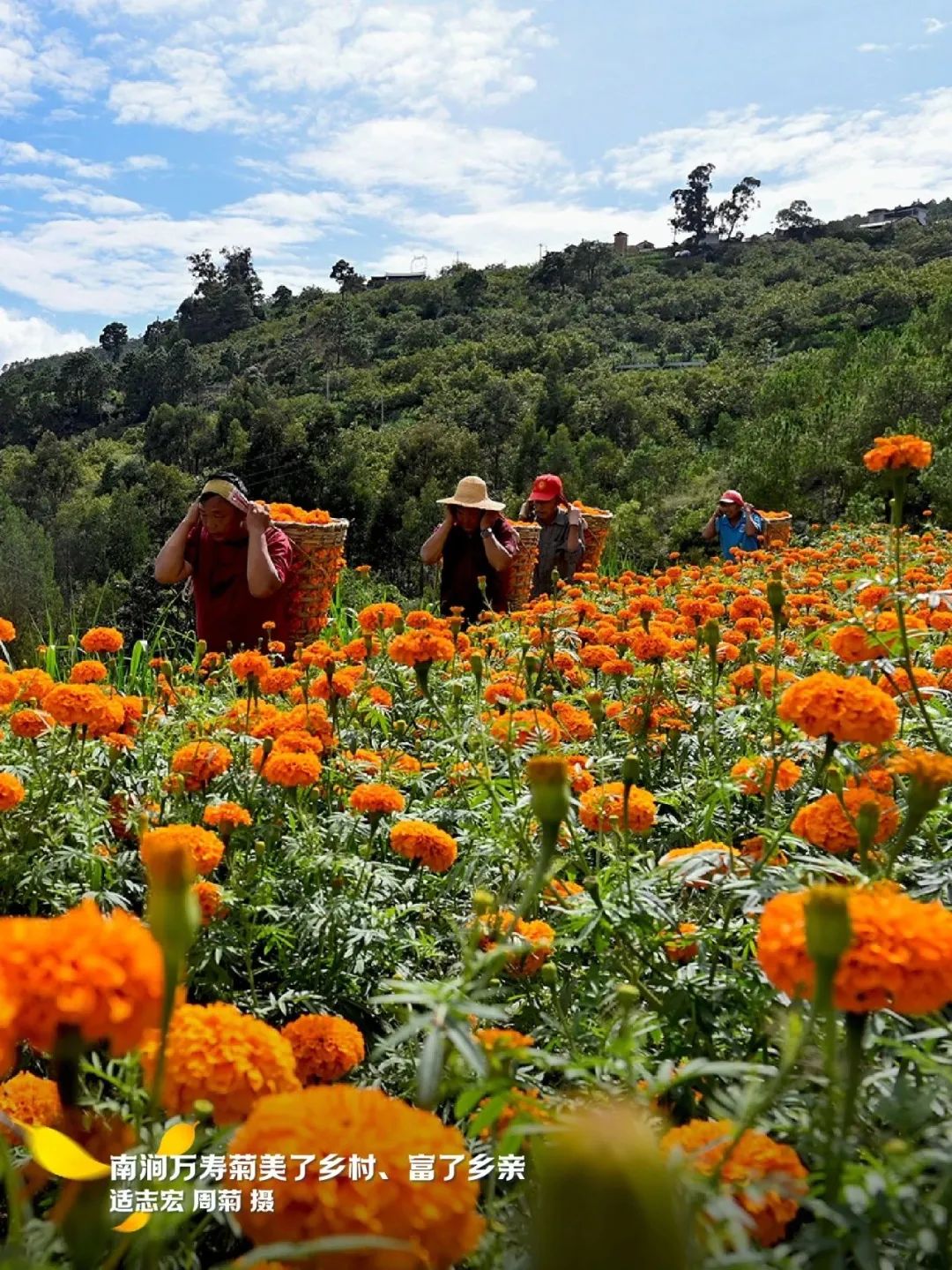 云南省文化和旅游厅