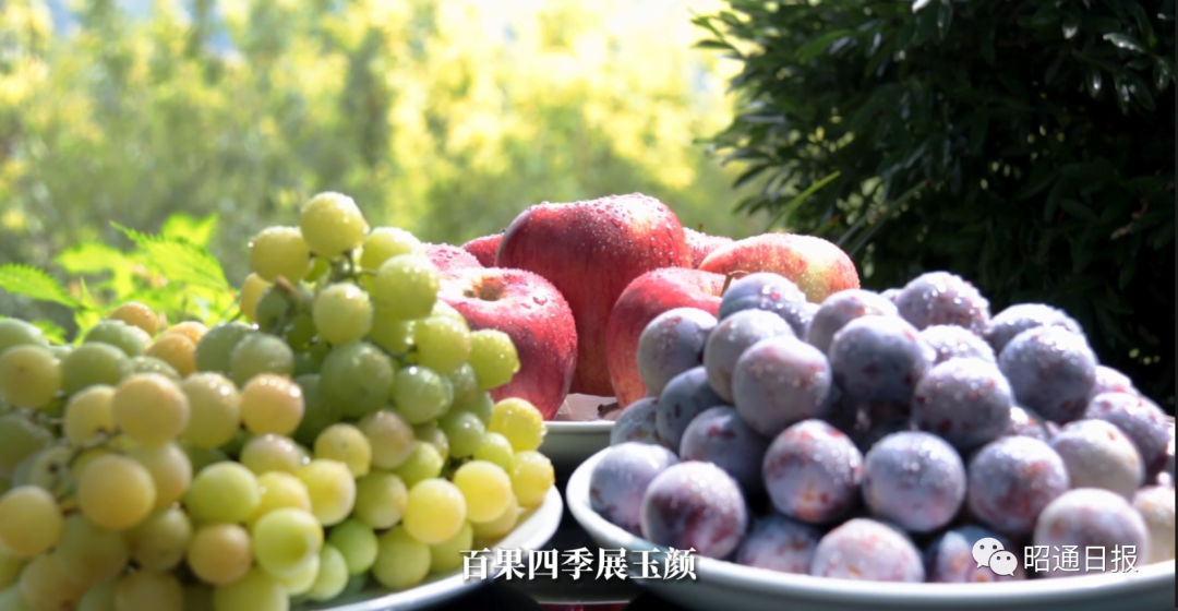 昭通日报