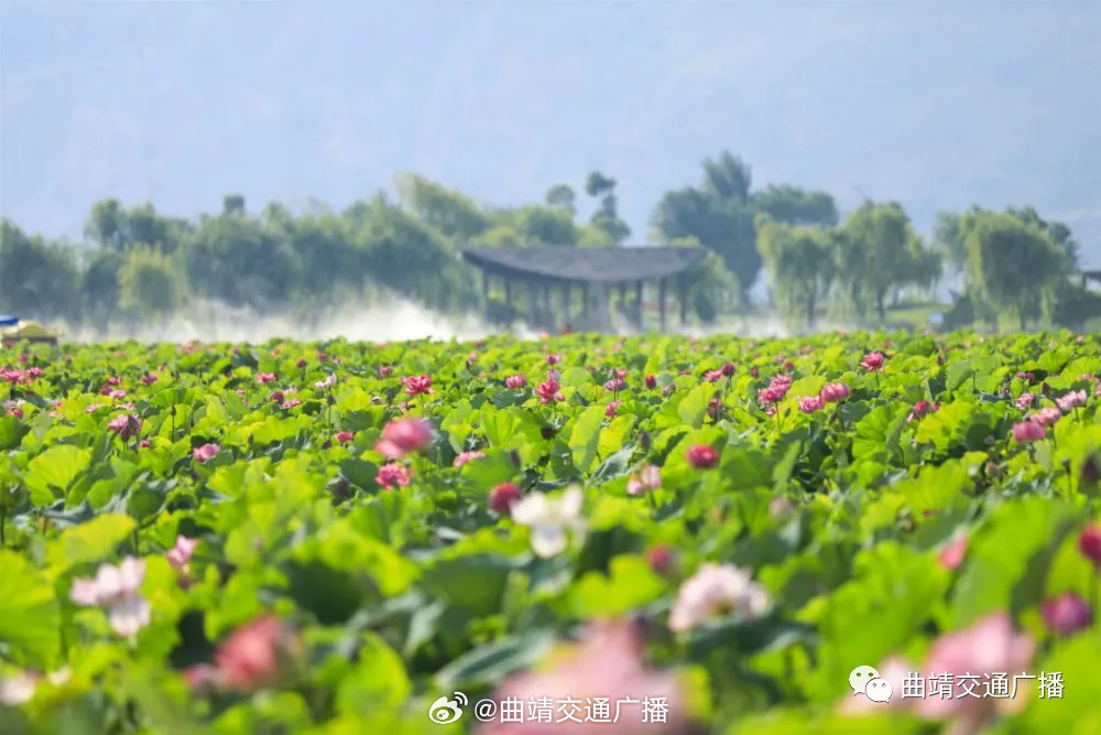 曲靖交通广播
