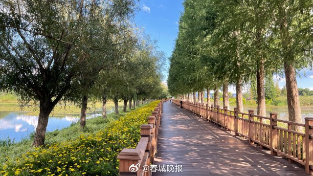 古韵新城 水墨石屏｜用绿扮靓整座城