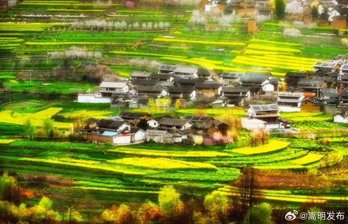 嵩明发布