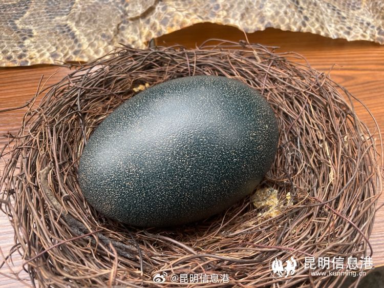 昆明信息港微博