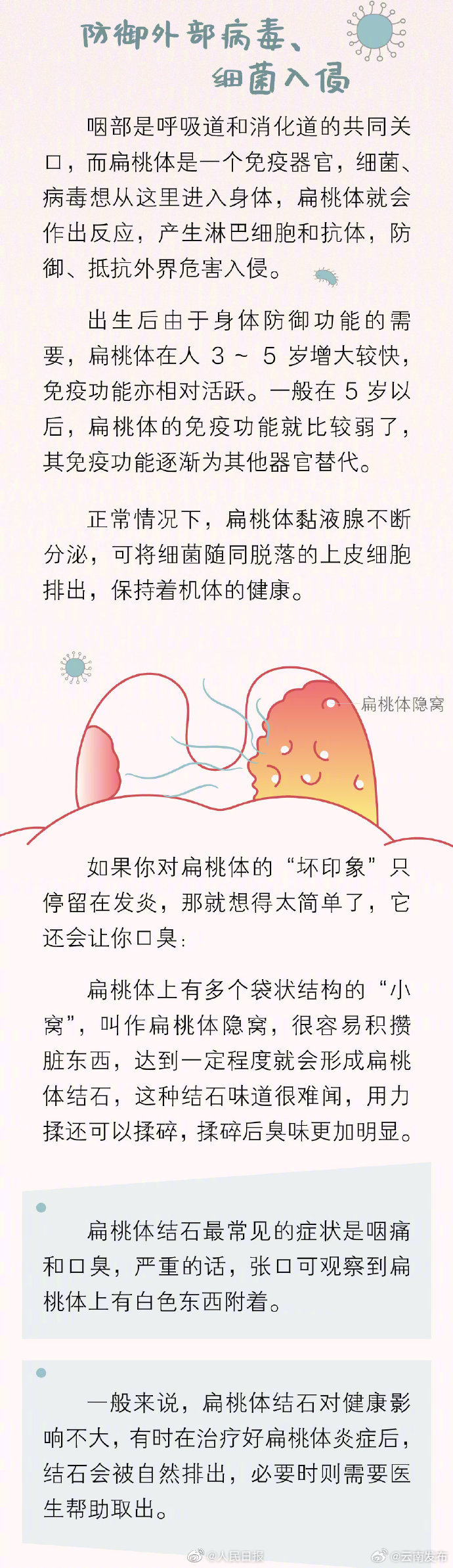云南发布