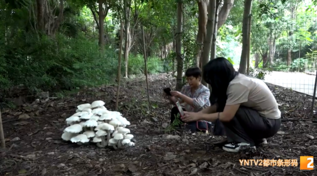 昆明信息港/cnkmxxg