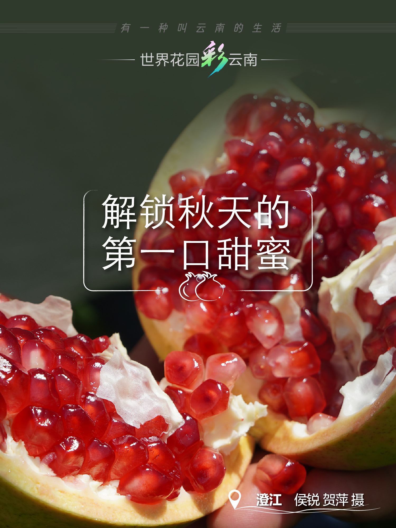 云南省文化和旅游厅