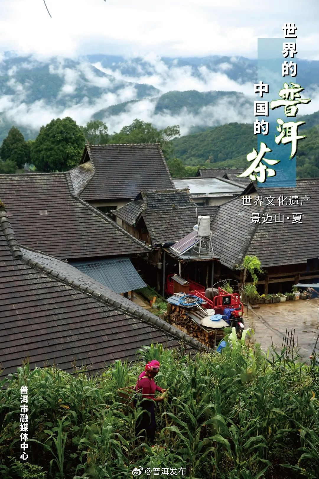 普洱发布