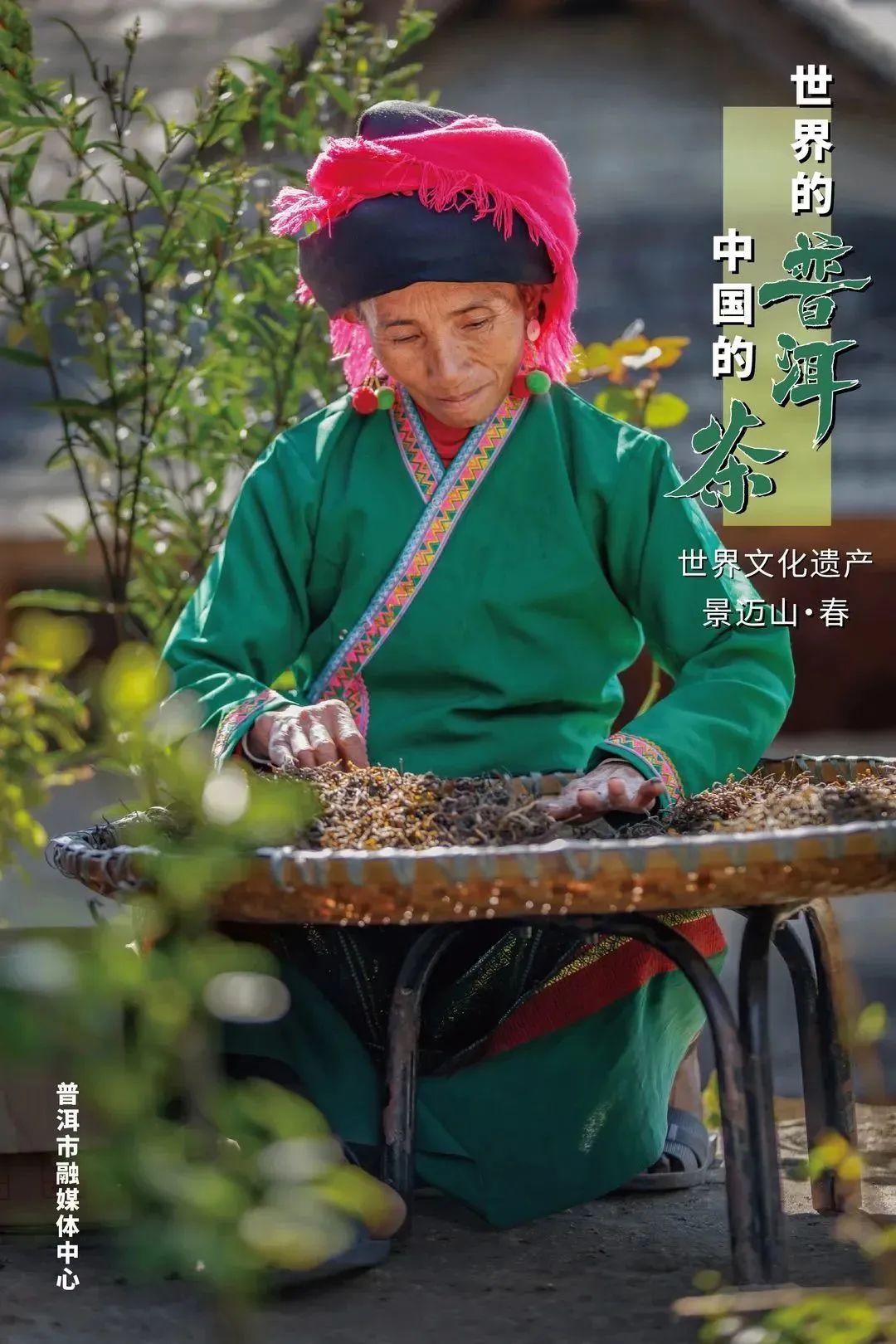 云南网