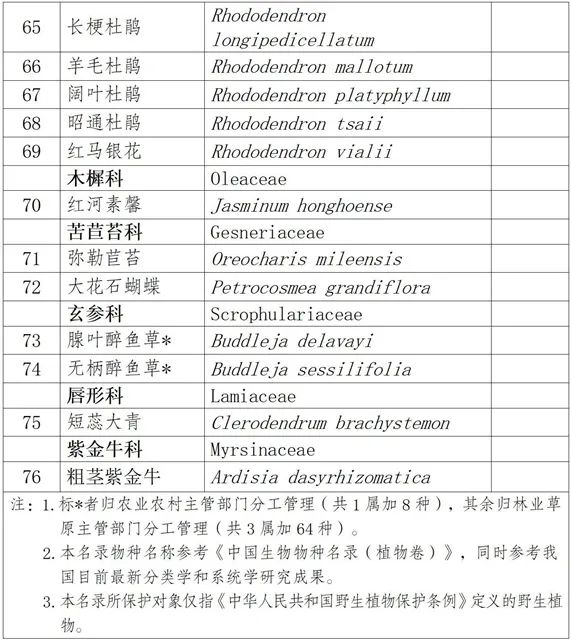 云南省人民政府网