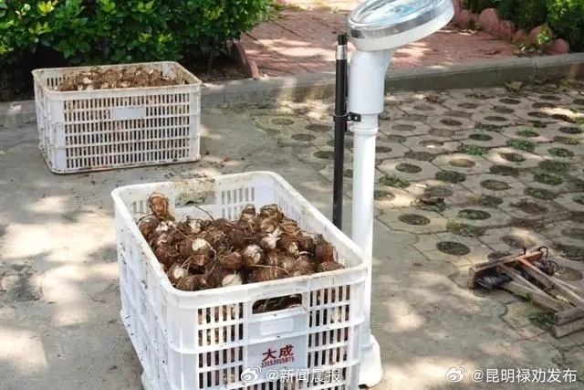 昆明禄劝发布