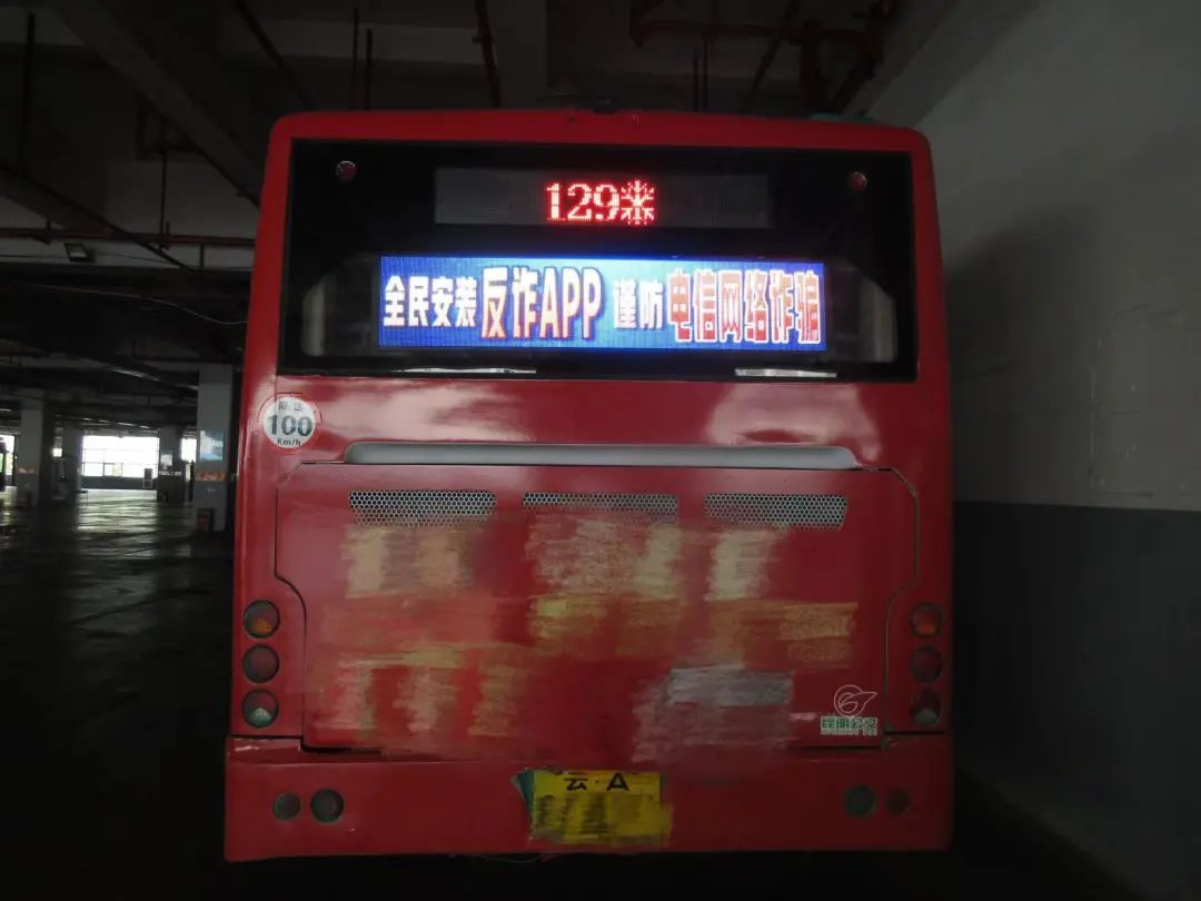 云南政法