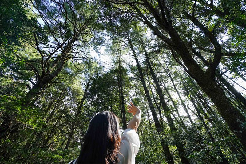 云南省文化和旅游厅