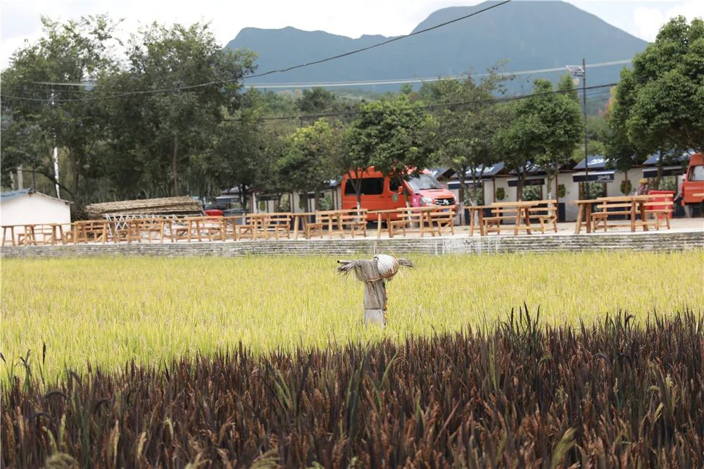 昆明文旅