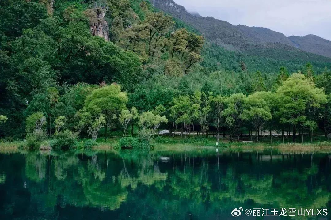 丽江玉龙雪山YLXS