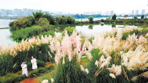 昆明市文化和旅游局