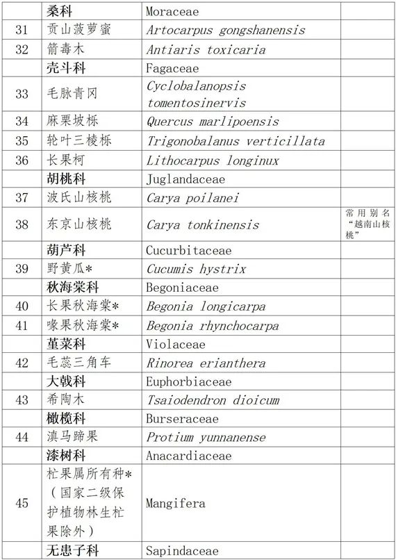 云南省人民政府网