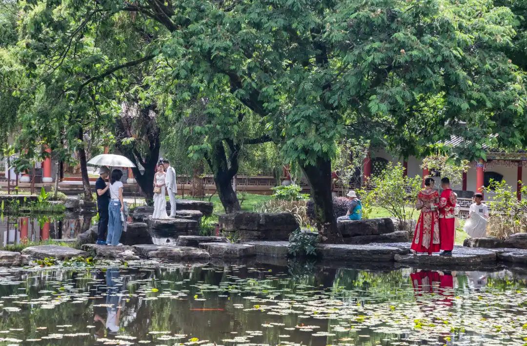 云南省文化和旅游厅