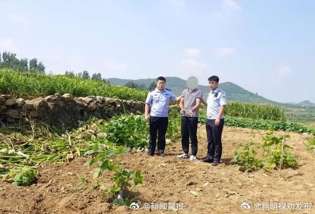 昆明禄劝发布
