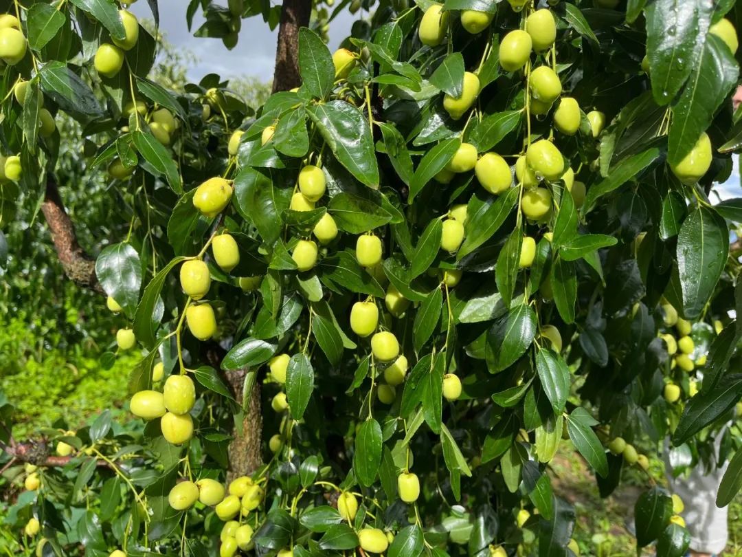 晋宁诗意的栖居地