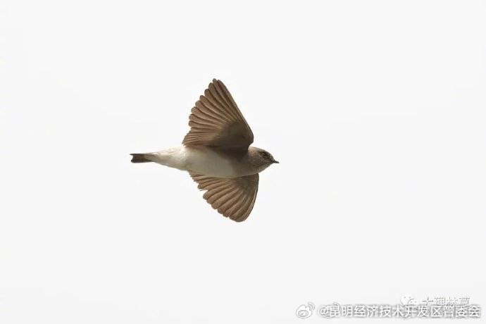 昆明经济技术开发区管委会